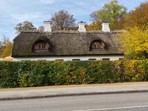 北欧研修_191022_0439