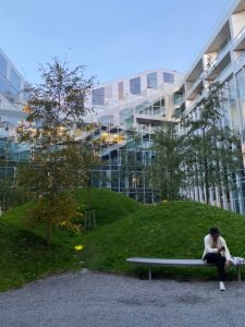 北欧研修_191022_0463