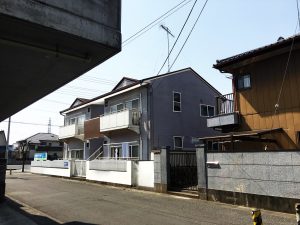 ﾈｲﾋﾞｰ＆ﾌﾞﾗｳﾝver (1)