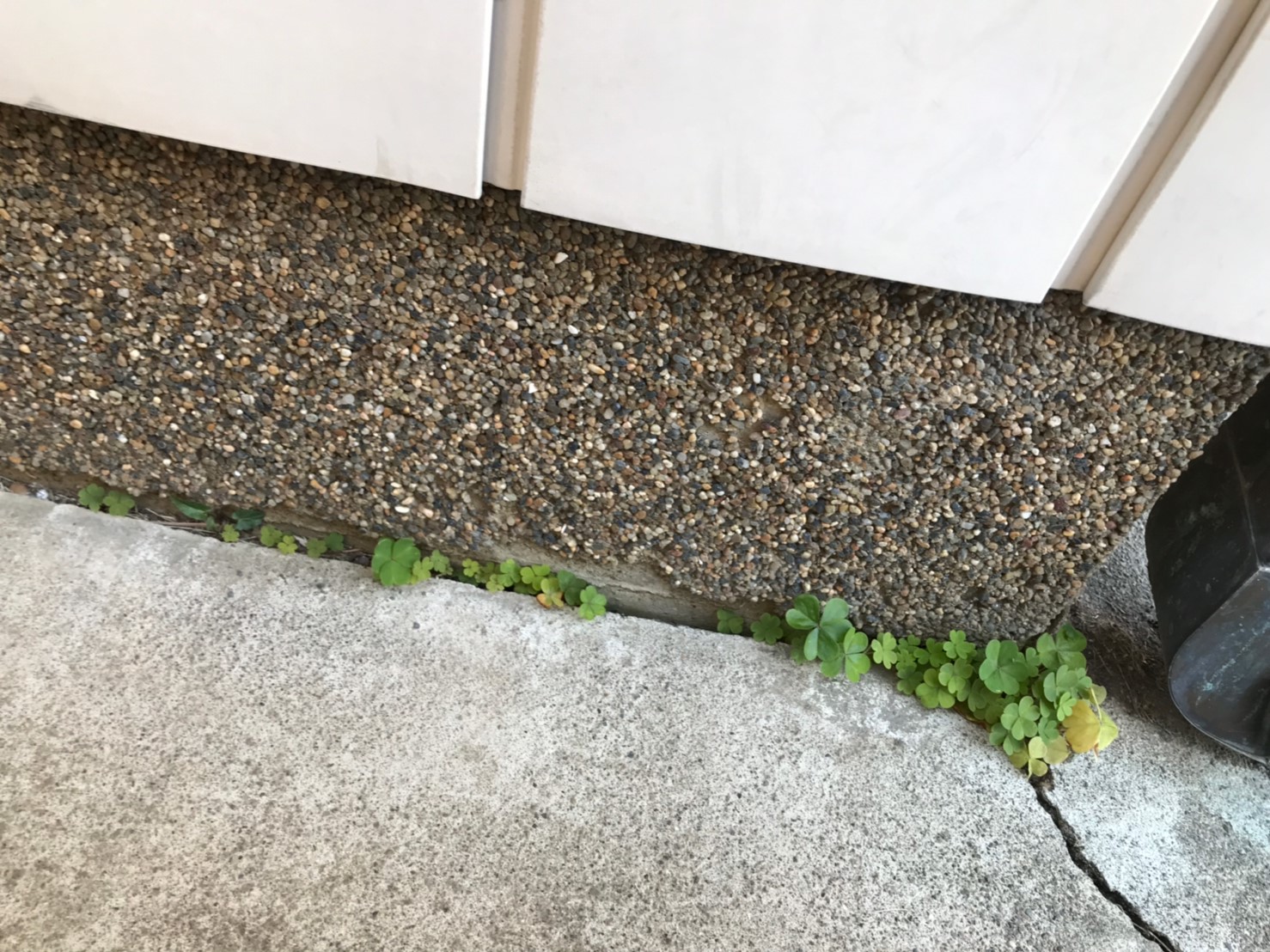 基礎の洗い出し仕上げ