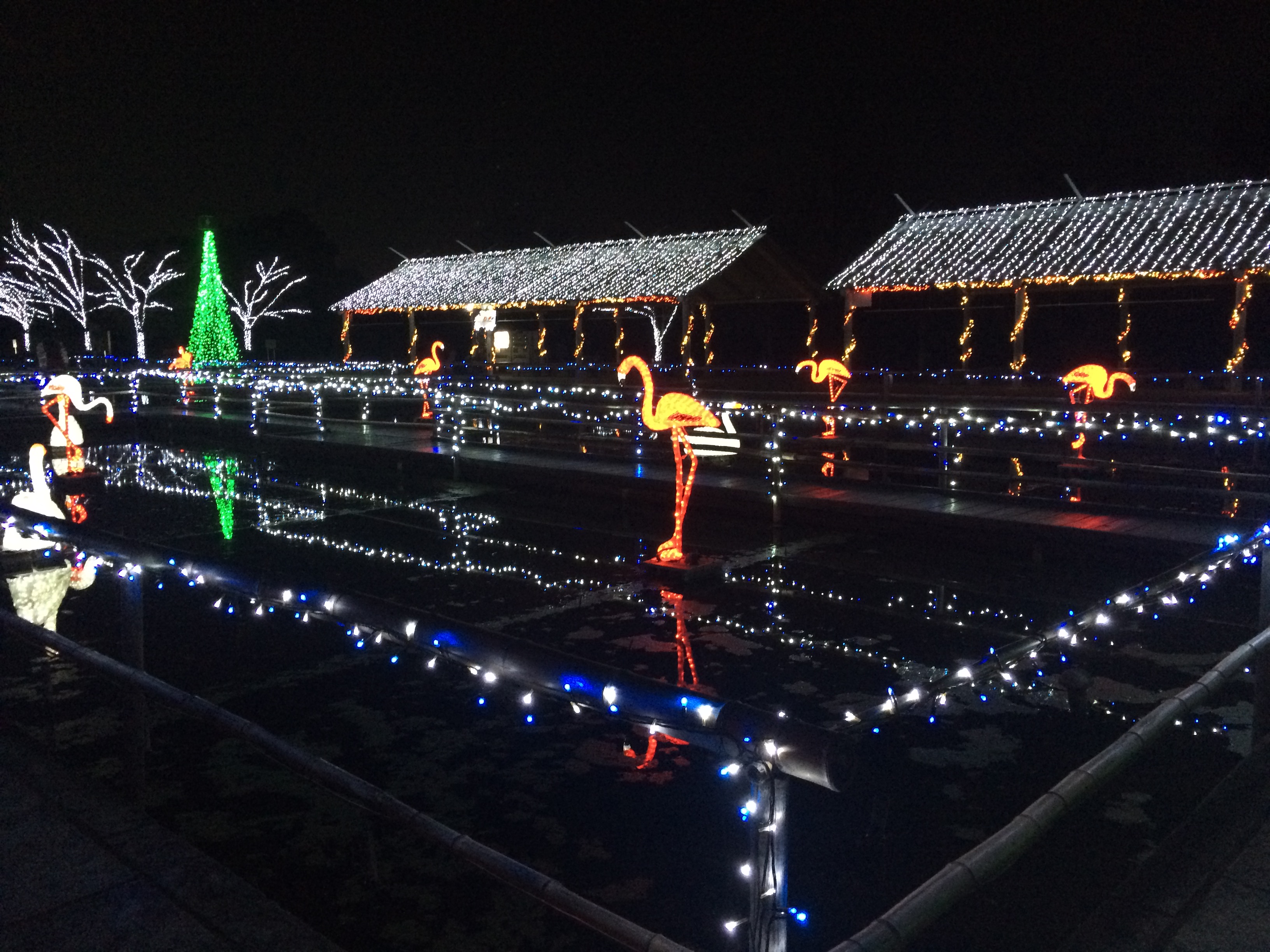 古代ハス公園のイルミネーションのようなリフォームって？