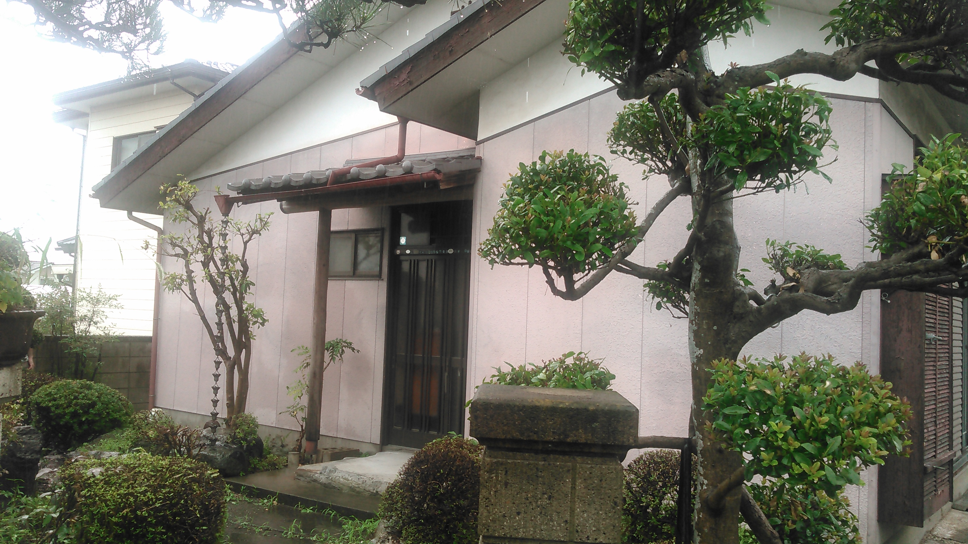 庭の石、どうしよう。