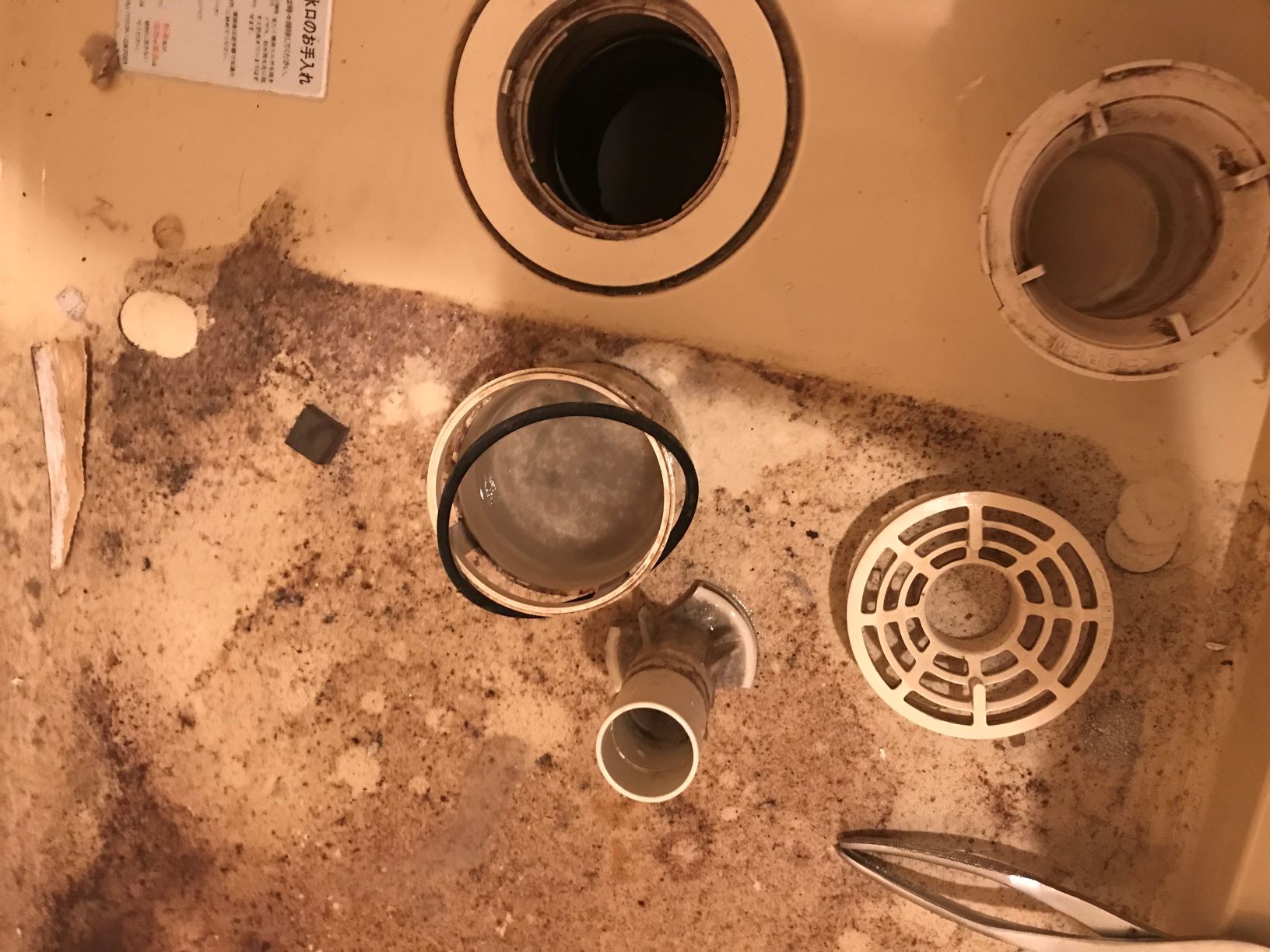 洗濯パンのつぶやき