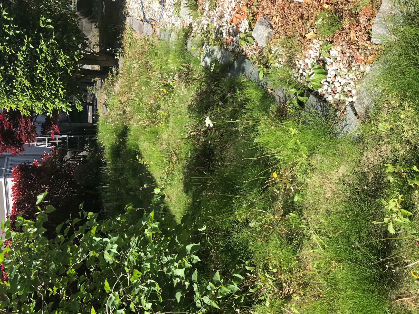 また、鳥たちが活発に動き出す季節が来ました。