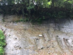 202157 チバニアン〜笠森観音〜HOKI美術館〜の筍なしのイタリアン♪_210528_5