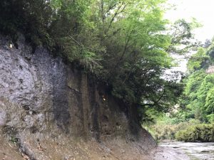 202157 チバニアン〜笠森観音〜HOKI美術館〜の筍なしのイタリアン♪_210528_4