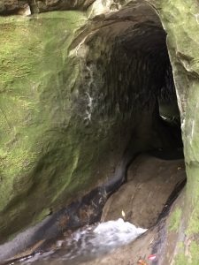 202157 チバニアン〜笠森観音〜HOKI美術館〜の筍なしのイタリアン♪_210528