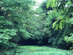 202157 チバニアン〜笠森観音〜HOKI美術館〜の筍なしのイタリアン♪_210528_1