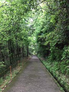 202157 チバニアン〜笠森観音〜HOKI美術館〜の筍なしのイタリアン♪_210528_0