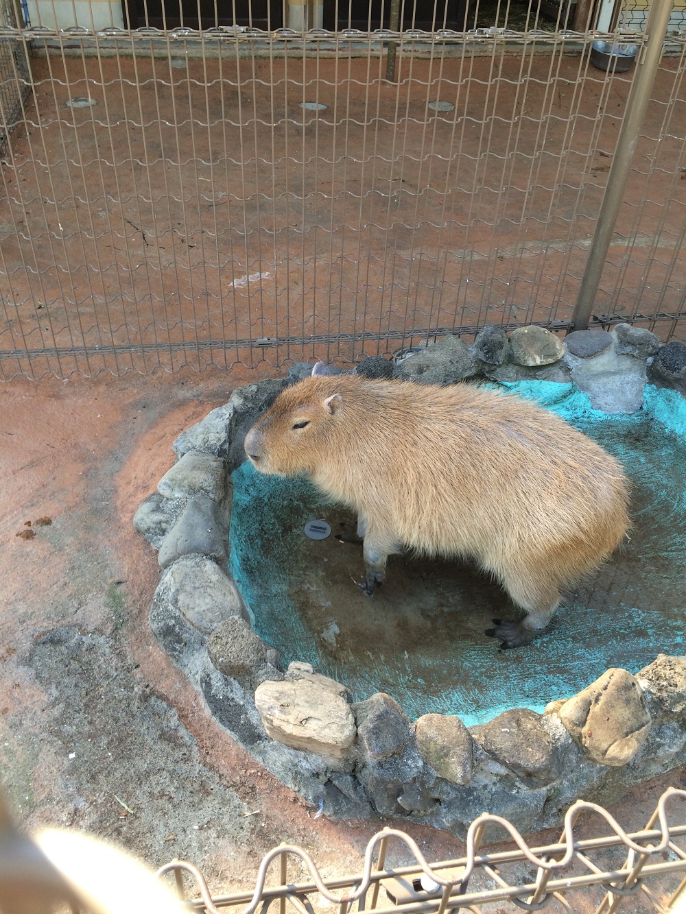 OFF！浦安市高洲海浜公園