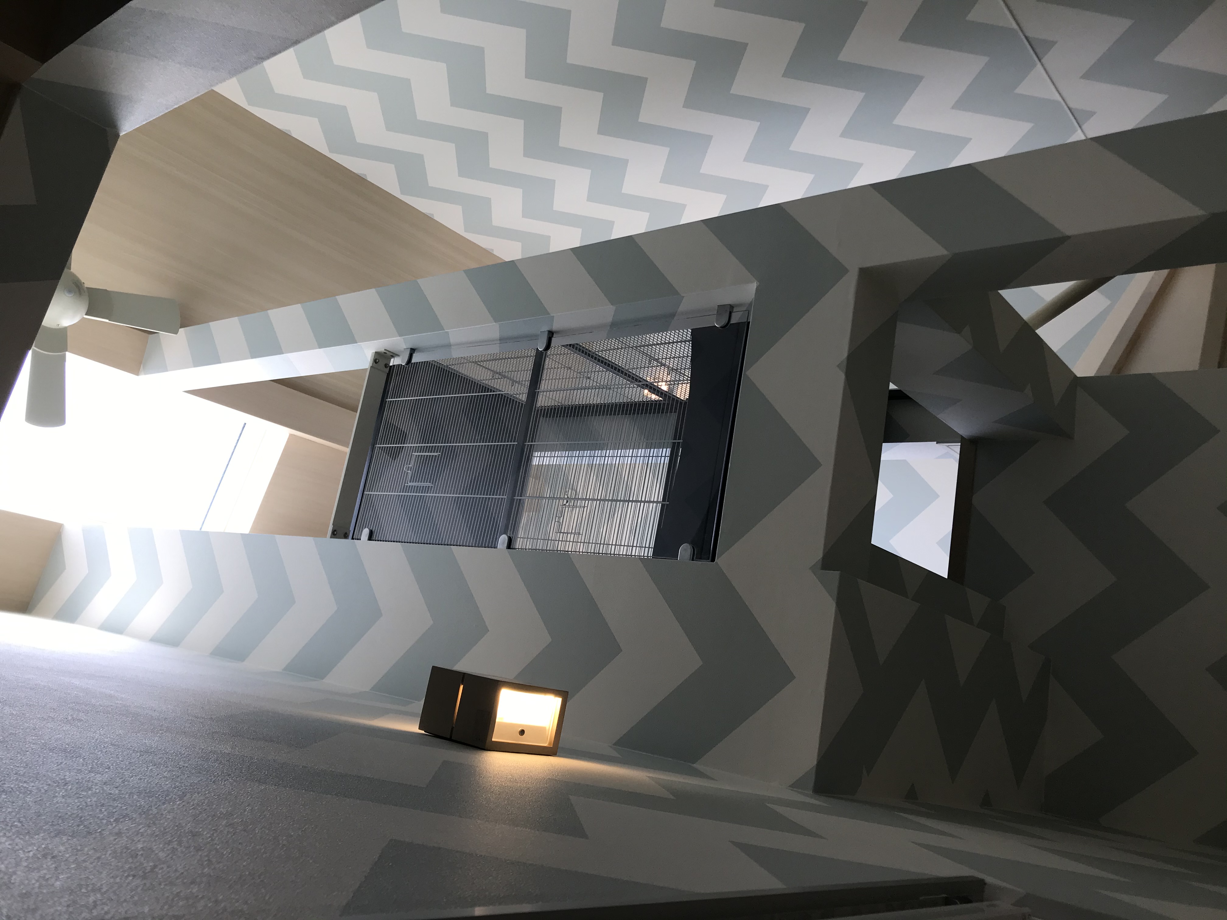 お家時間にペットの癒しを