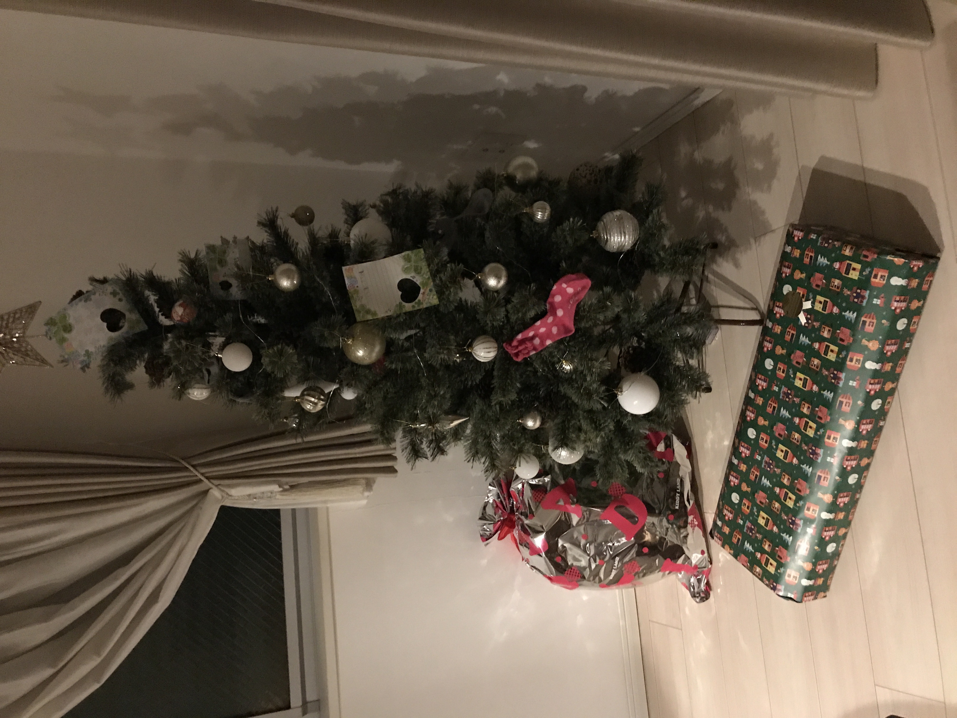 少し前ですが、、メリークリスマス♪