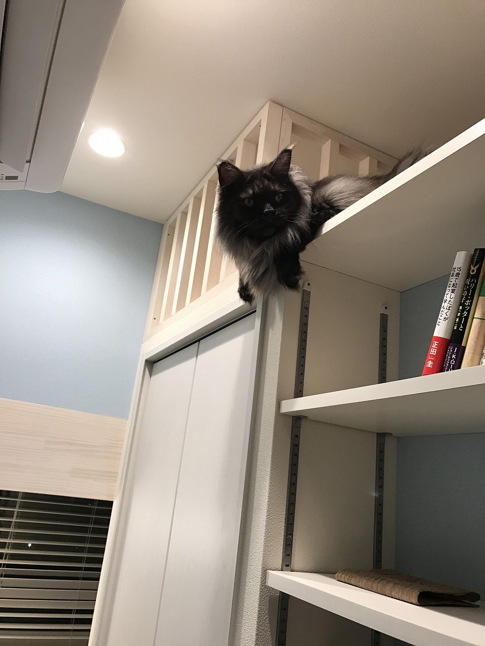 迷路のような子供部屋