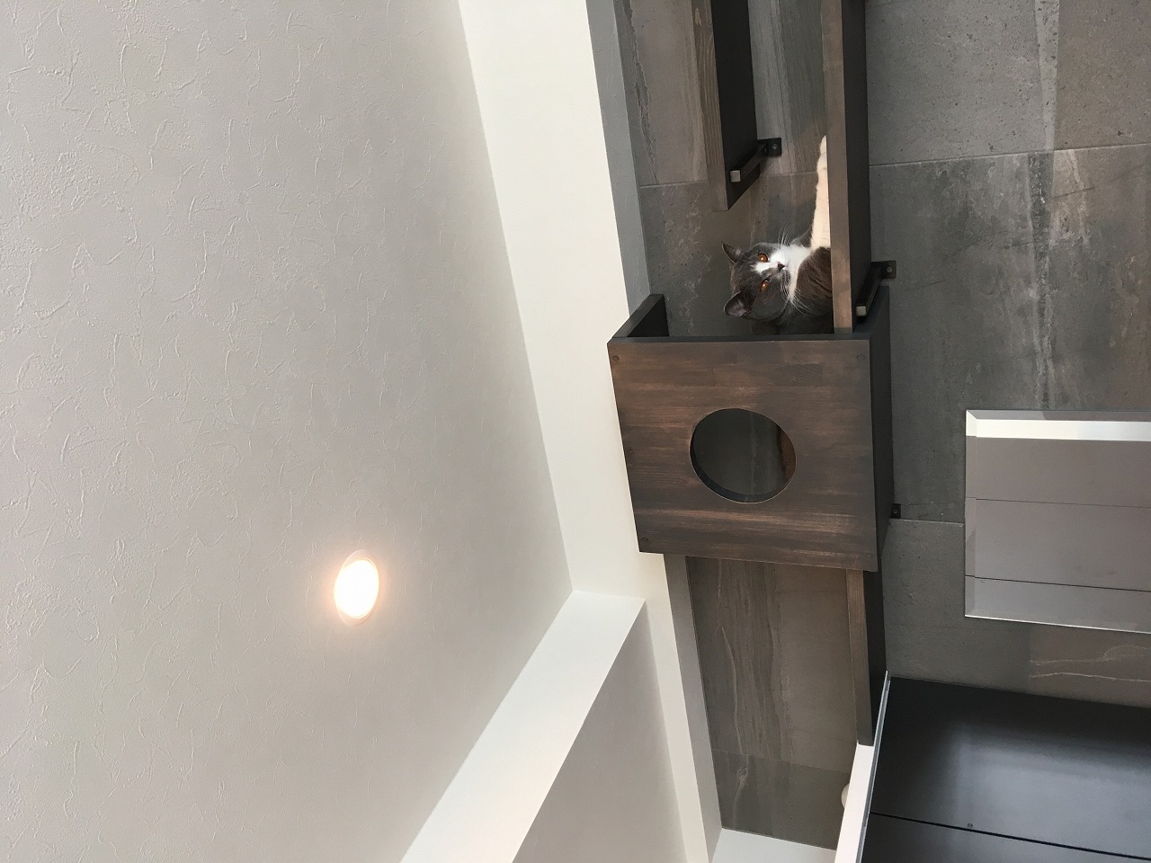 キャットウォークのその後・・・