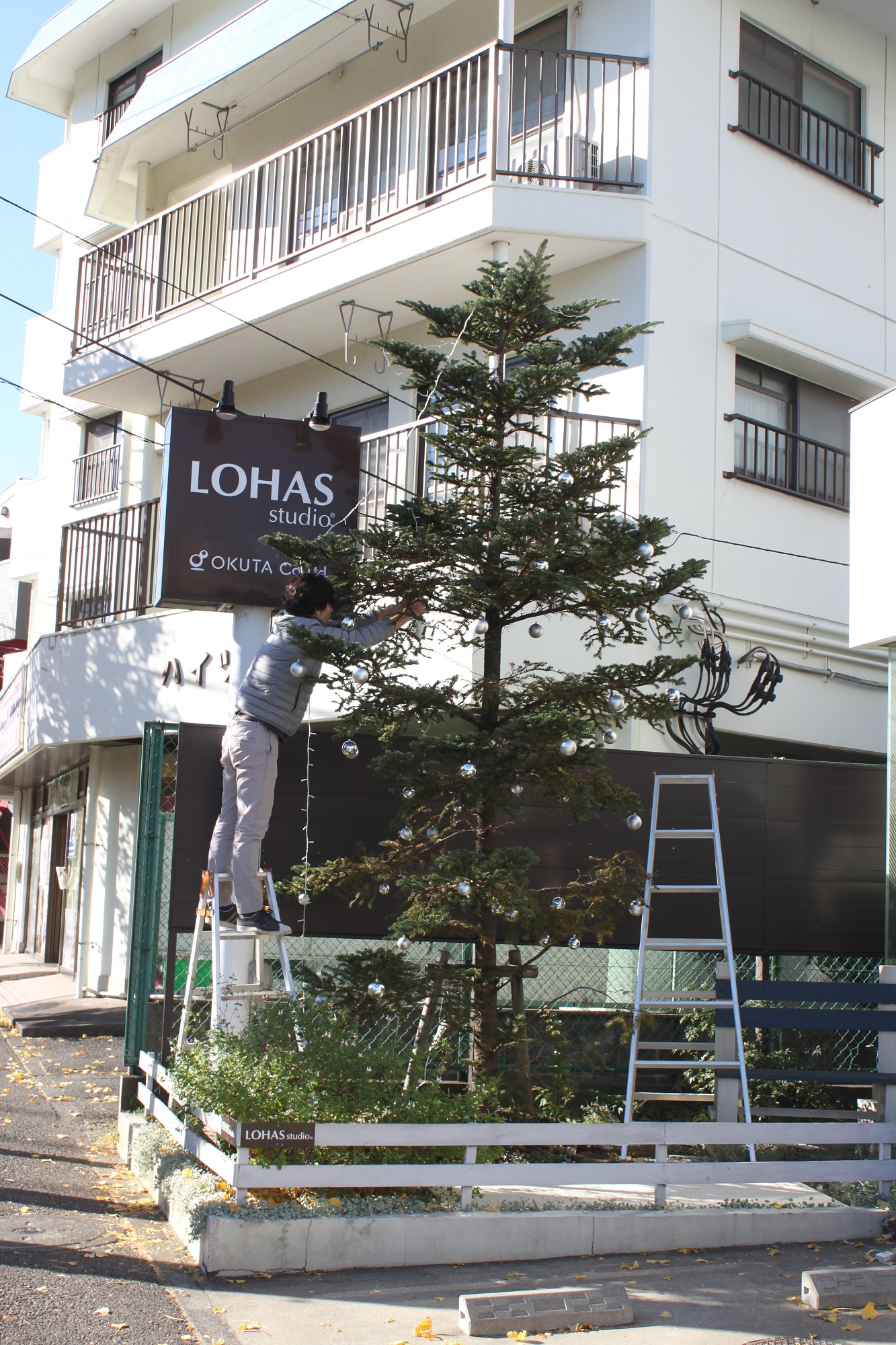 クリスマスツリー