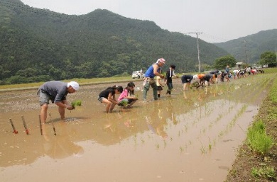 『 OKUTA こめまめプロジェクト 』が、環境大臣賞 最優秀賞候補 にノミネートされました。