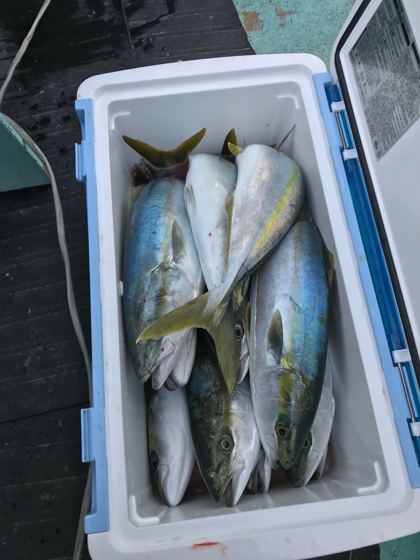 職人さんたちと船釣りに行ってきました！