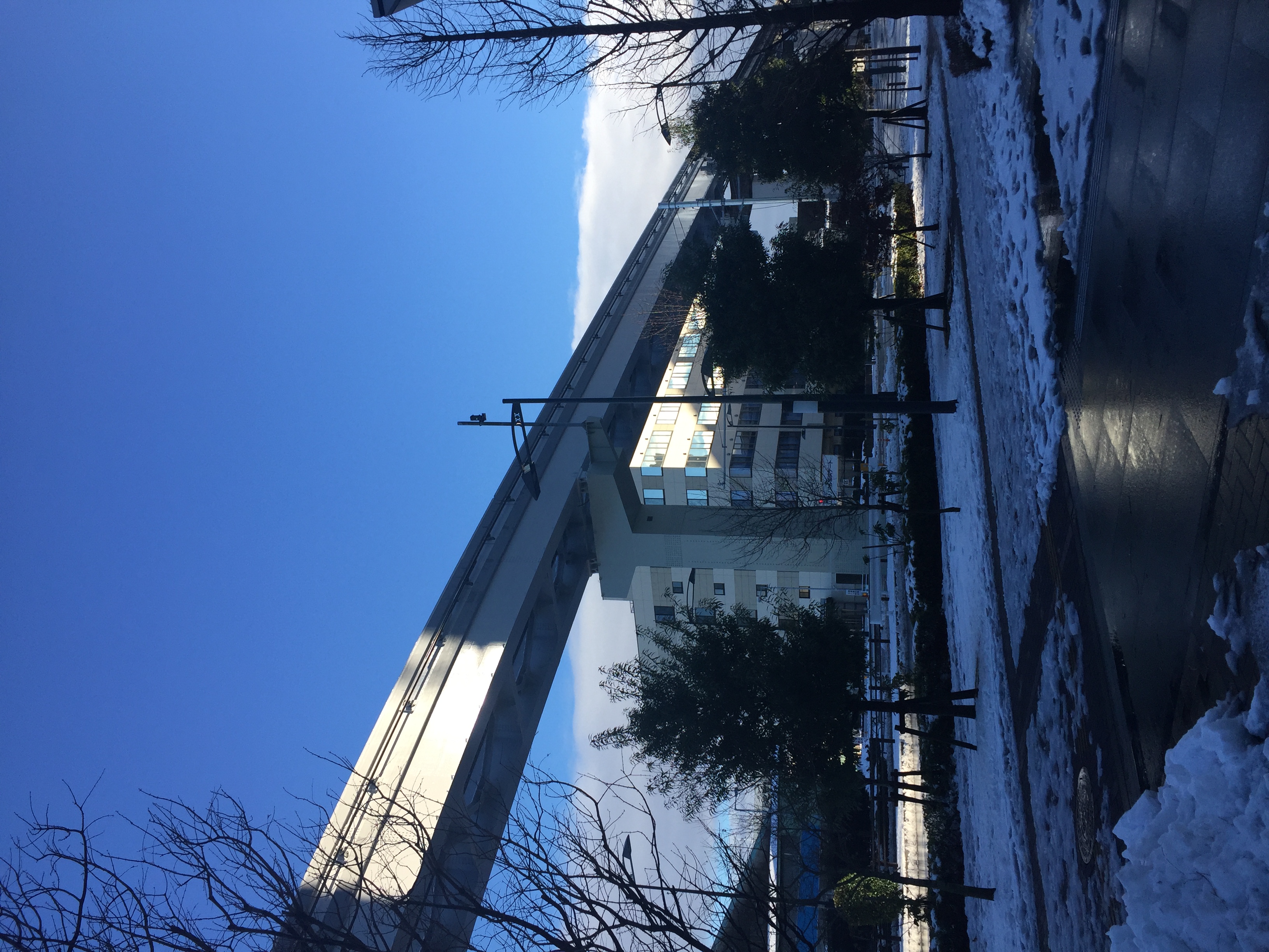 雪降って地固まる