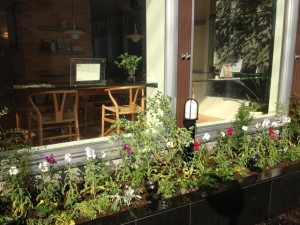 写真 2013-11-18 11 14 54