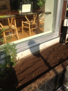 写真 2013-11-18 10 05 58