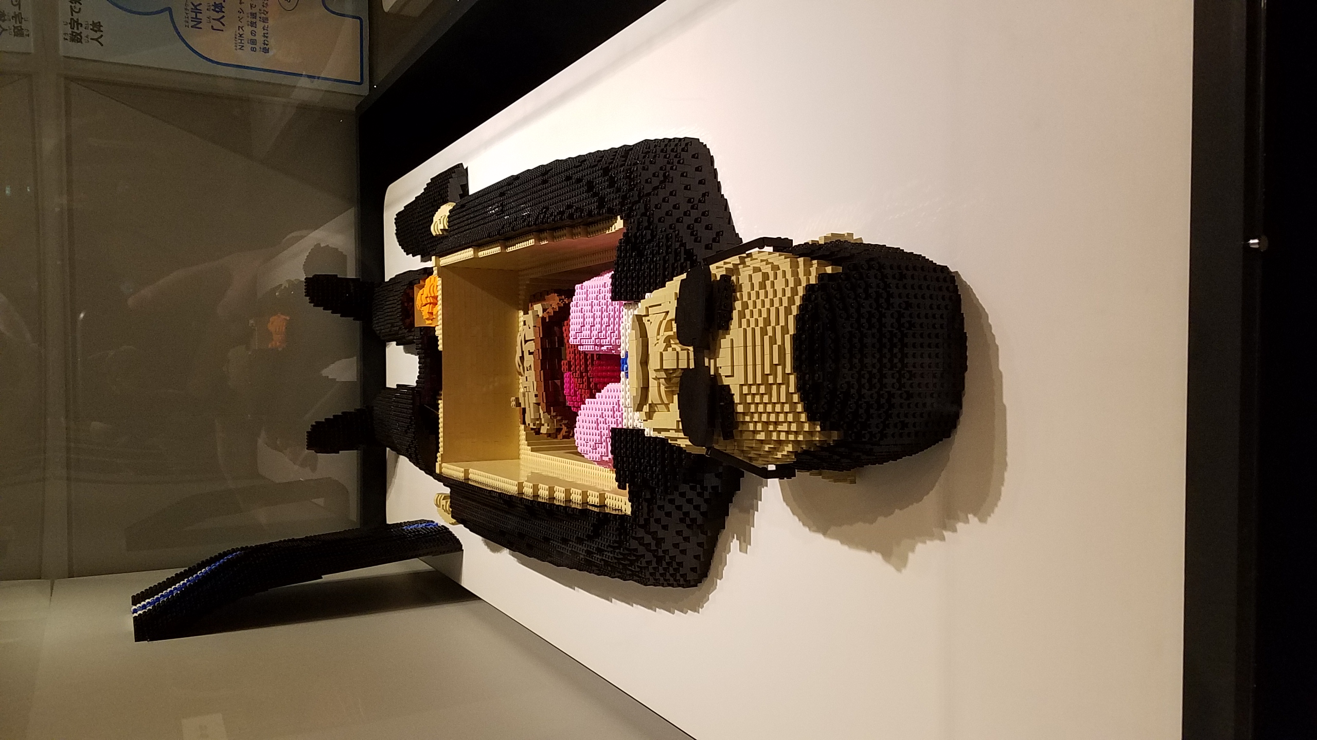 特別展人体～神秘への挑戦～