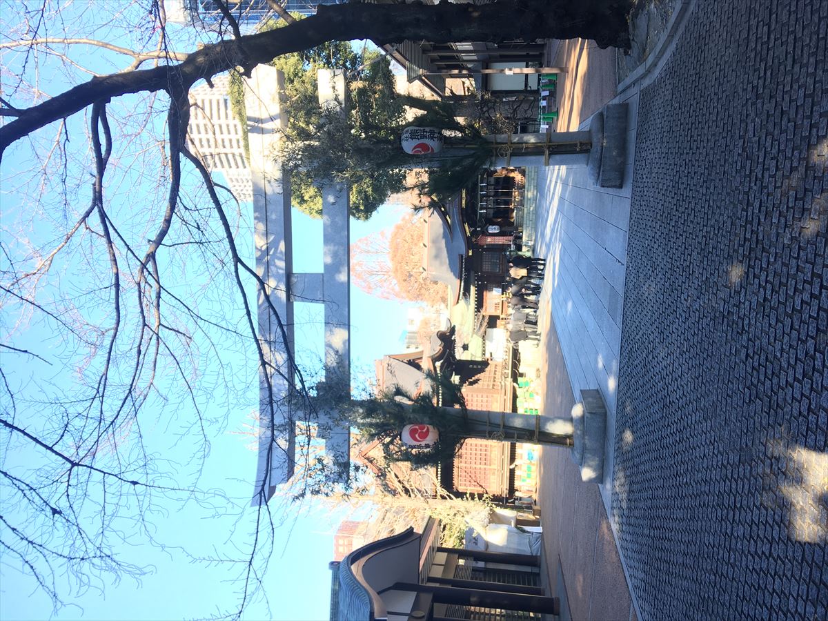 今年もよろしくお願い致します。