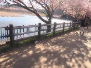 11059329_660102844099971_3282590212229491655_n