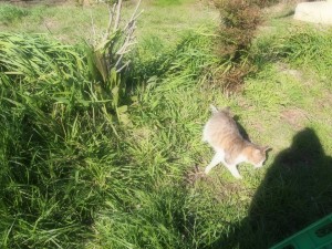 11060275_660102817433307_9010901842537777512_n