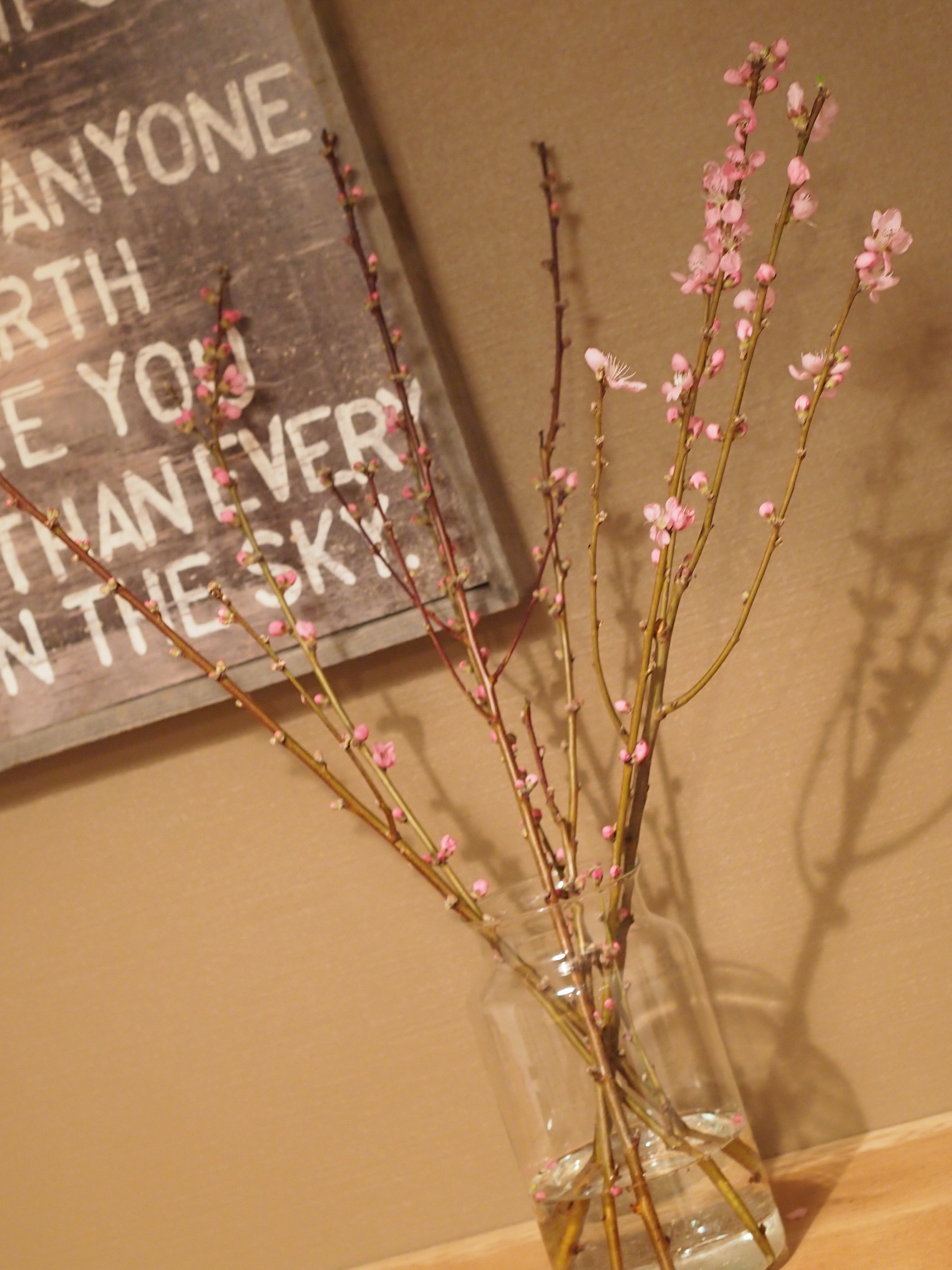 我が家のひな祭り