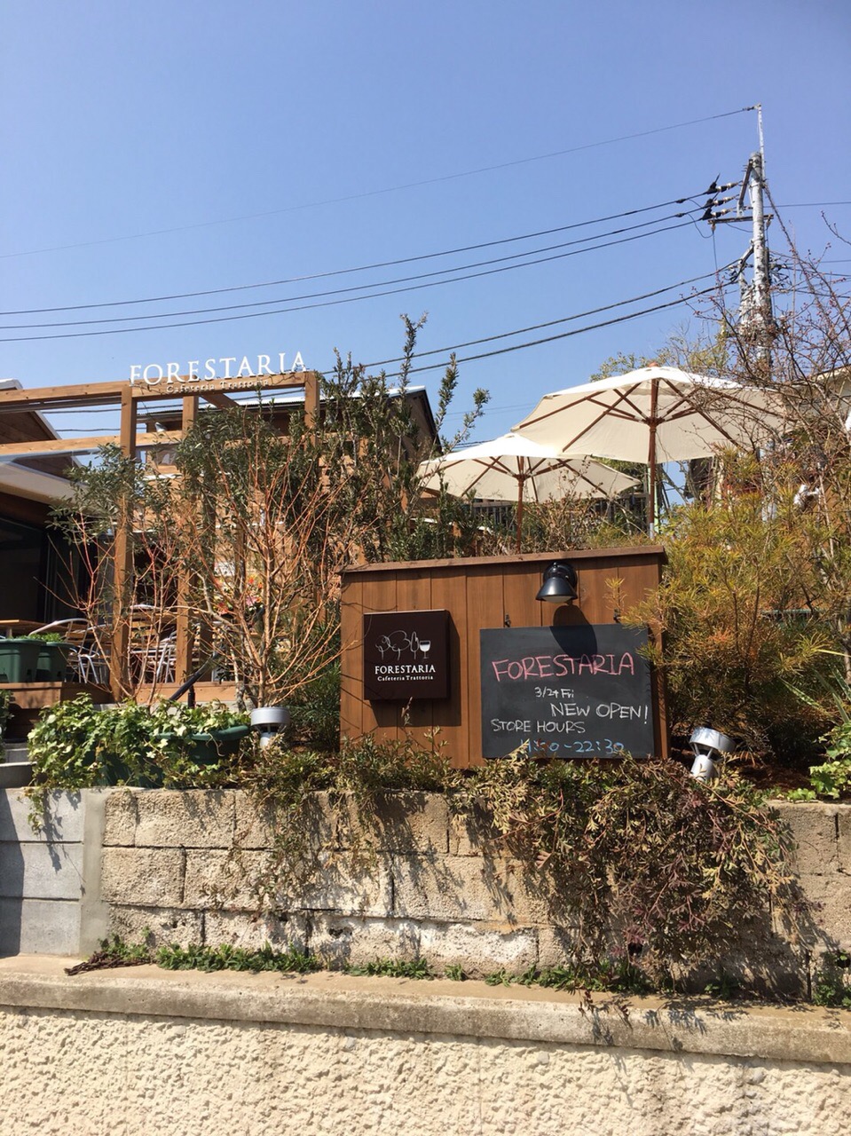 〜上大岡桜情報〜