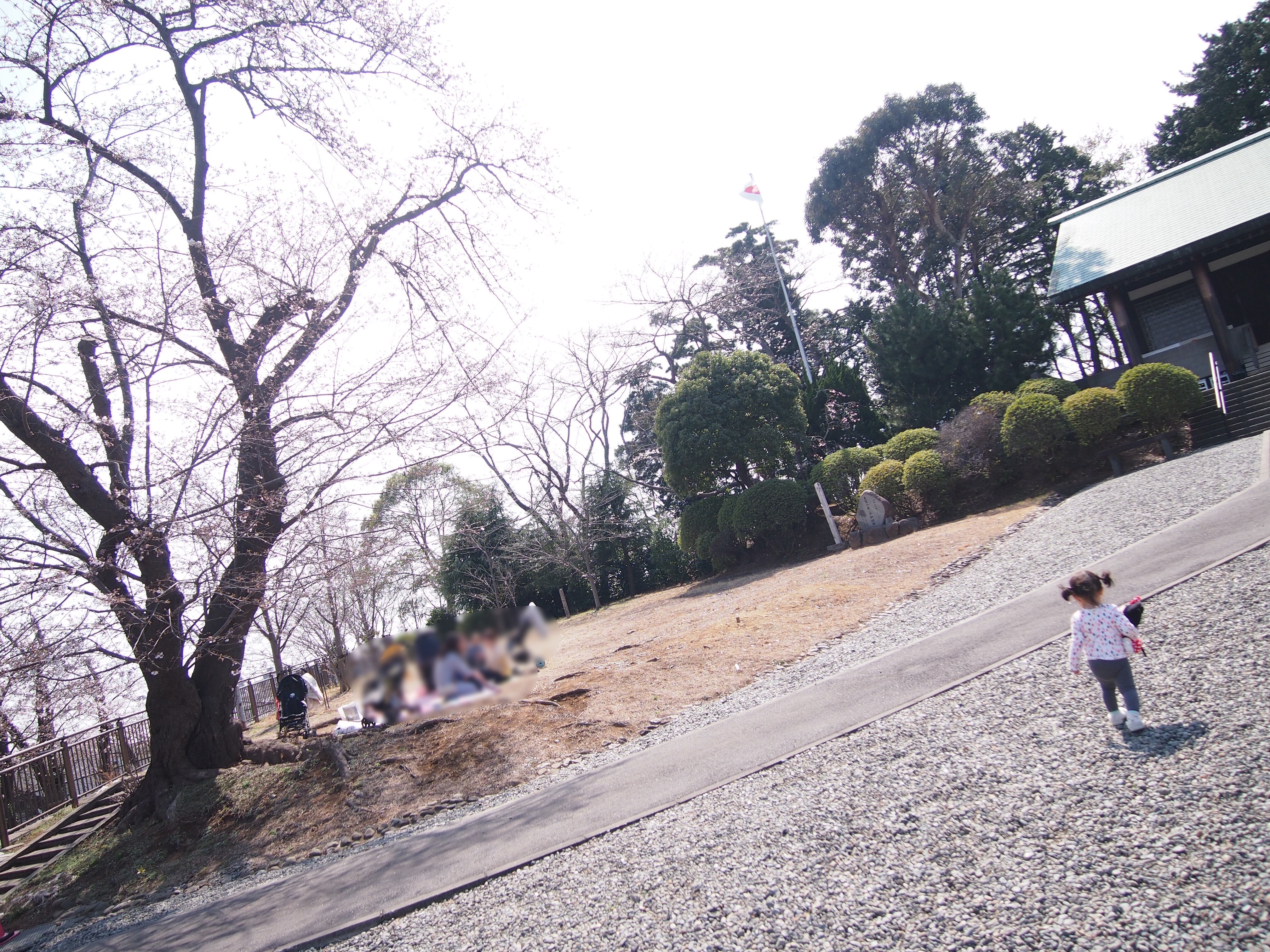花より団子でお花見満喫♪