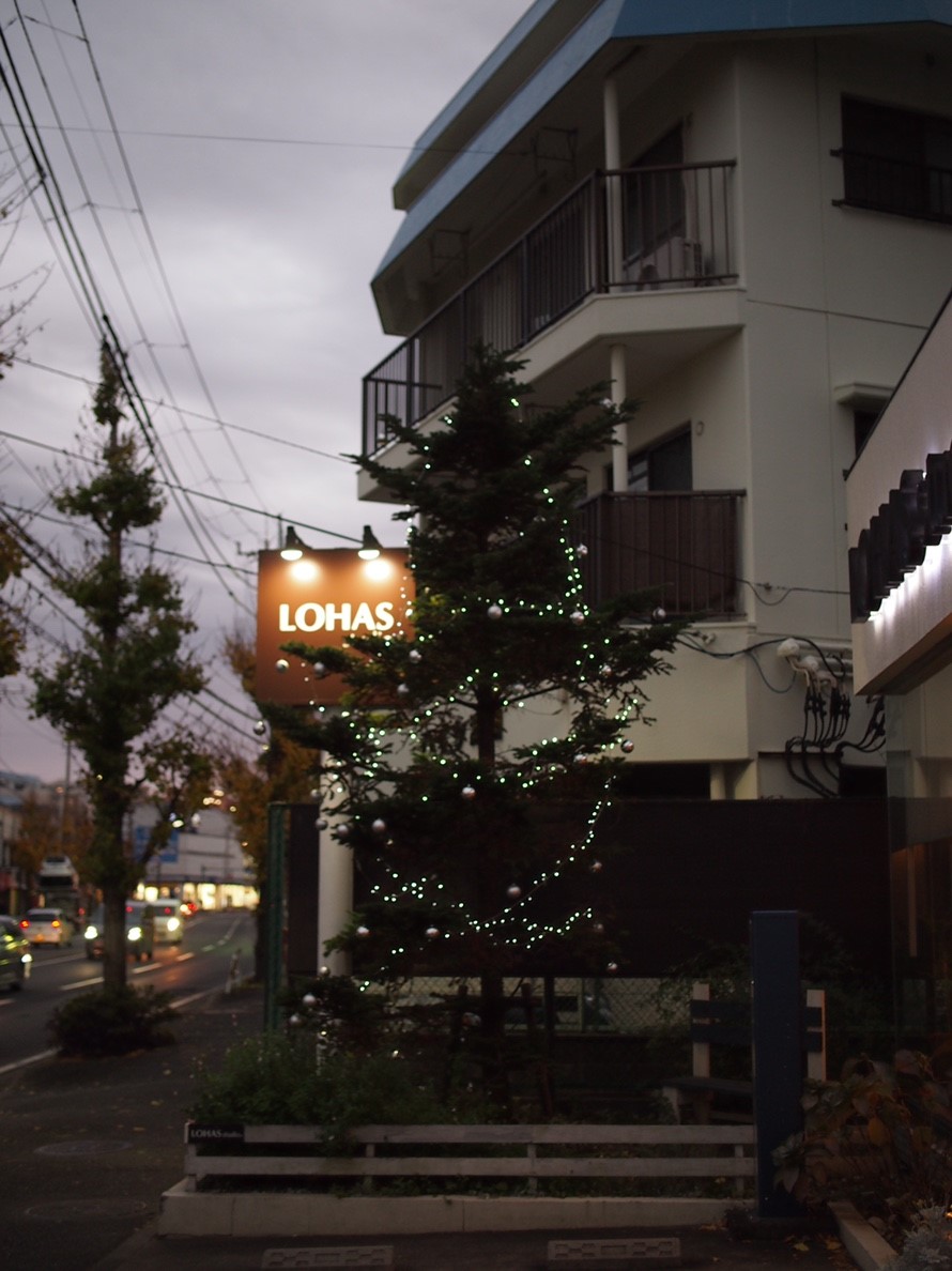 シンボルツリーへの電飾設置は命がけ？！