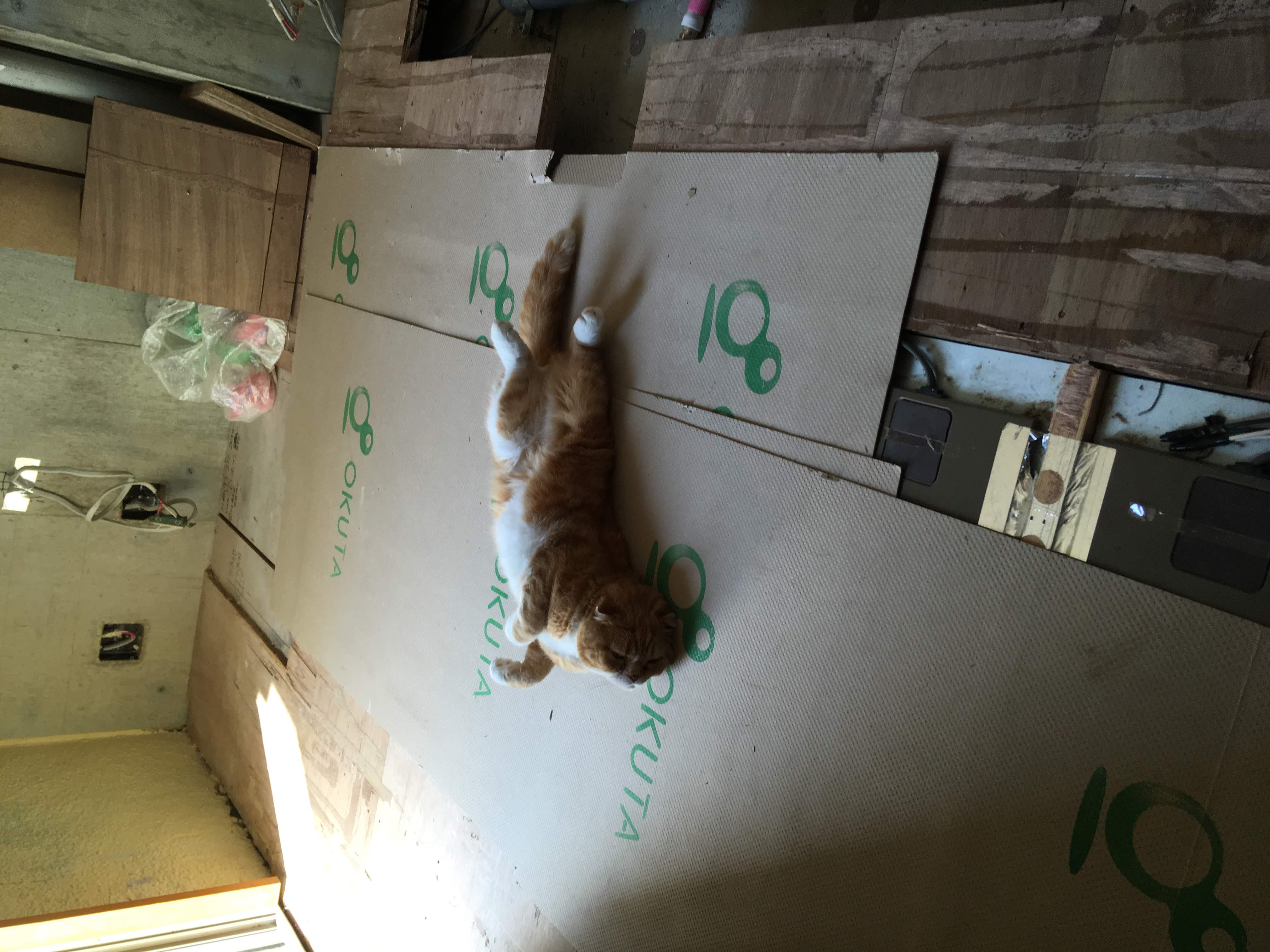 現場に意外な来訪者