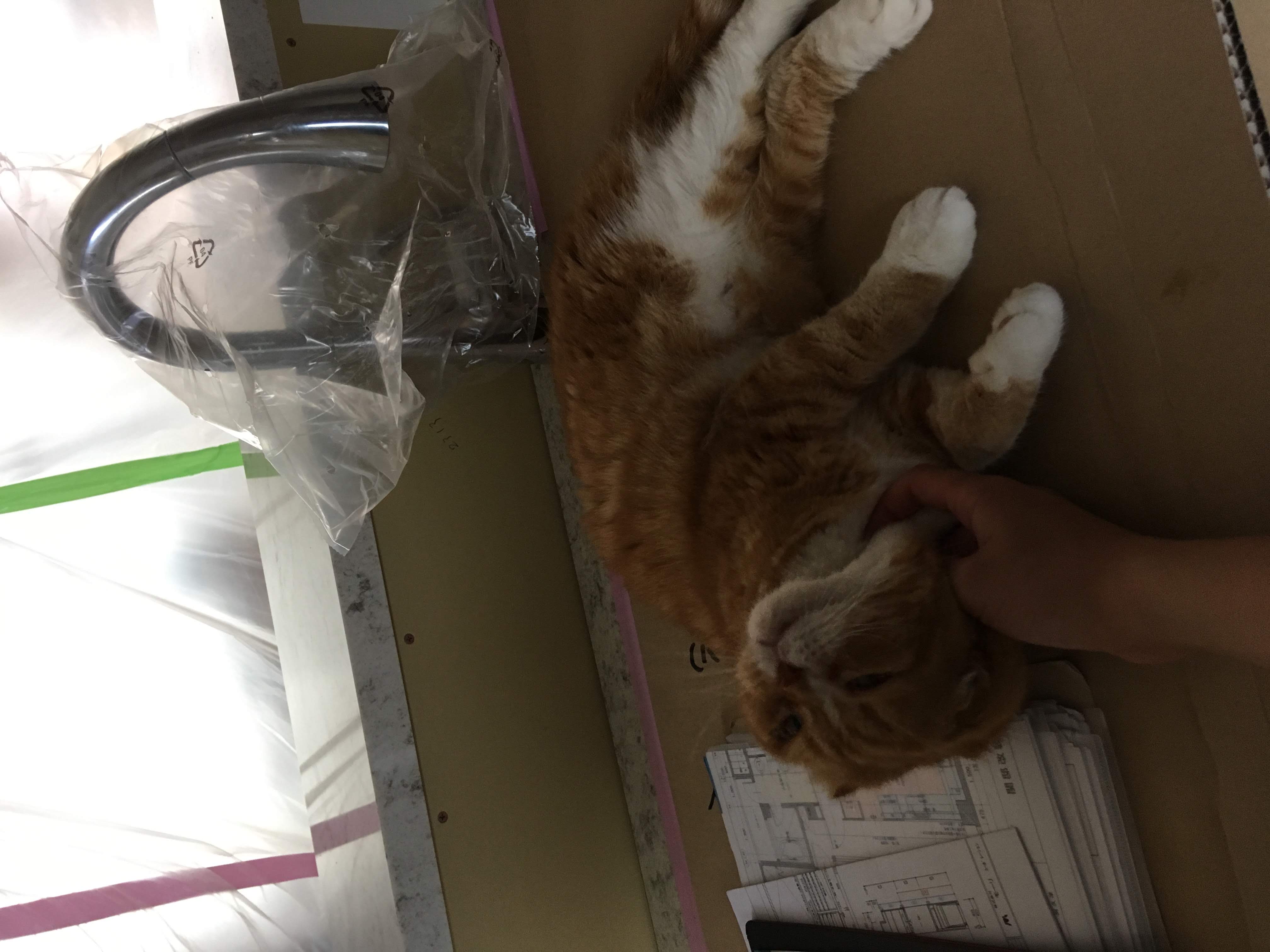 ちいさな施工管理