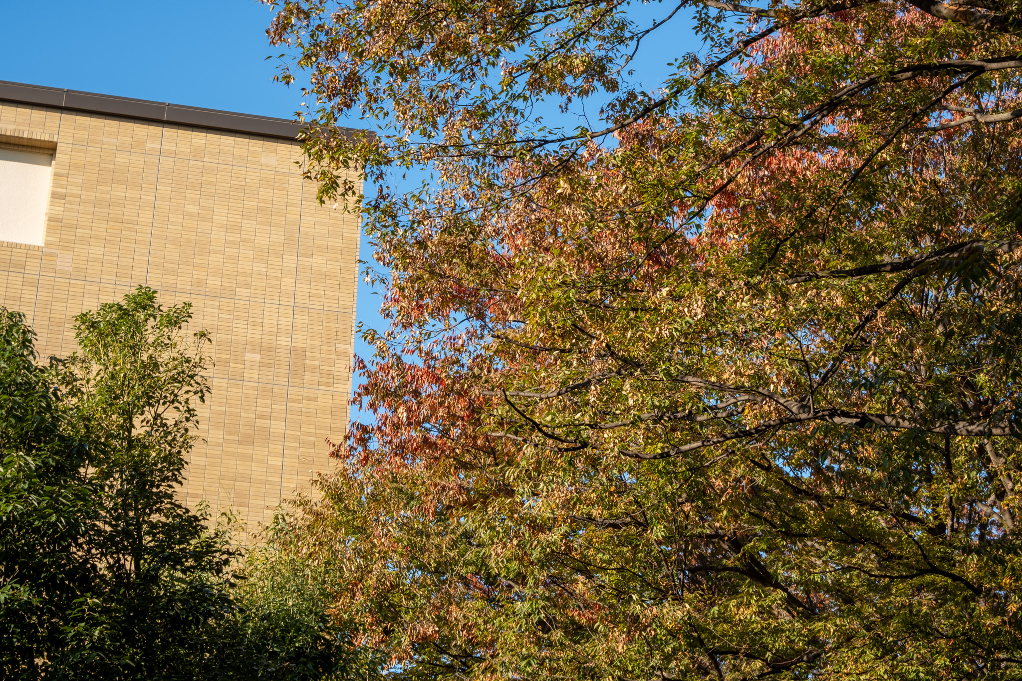 〜秋のターン〜