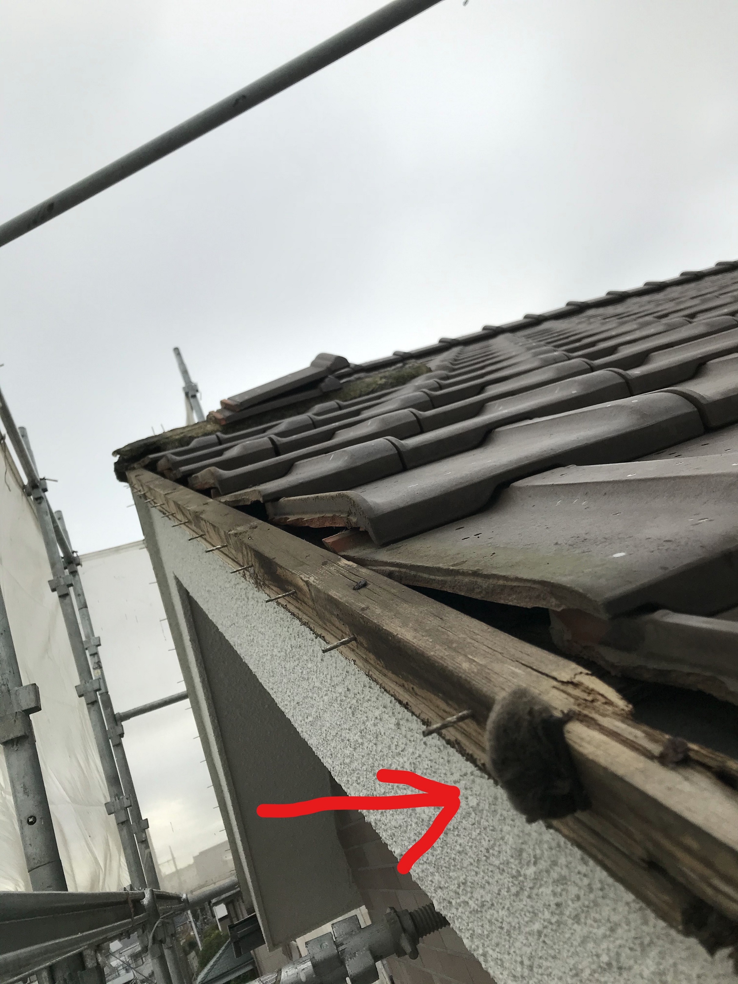 さて、これは何でしょう・・