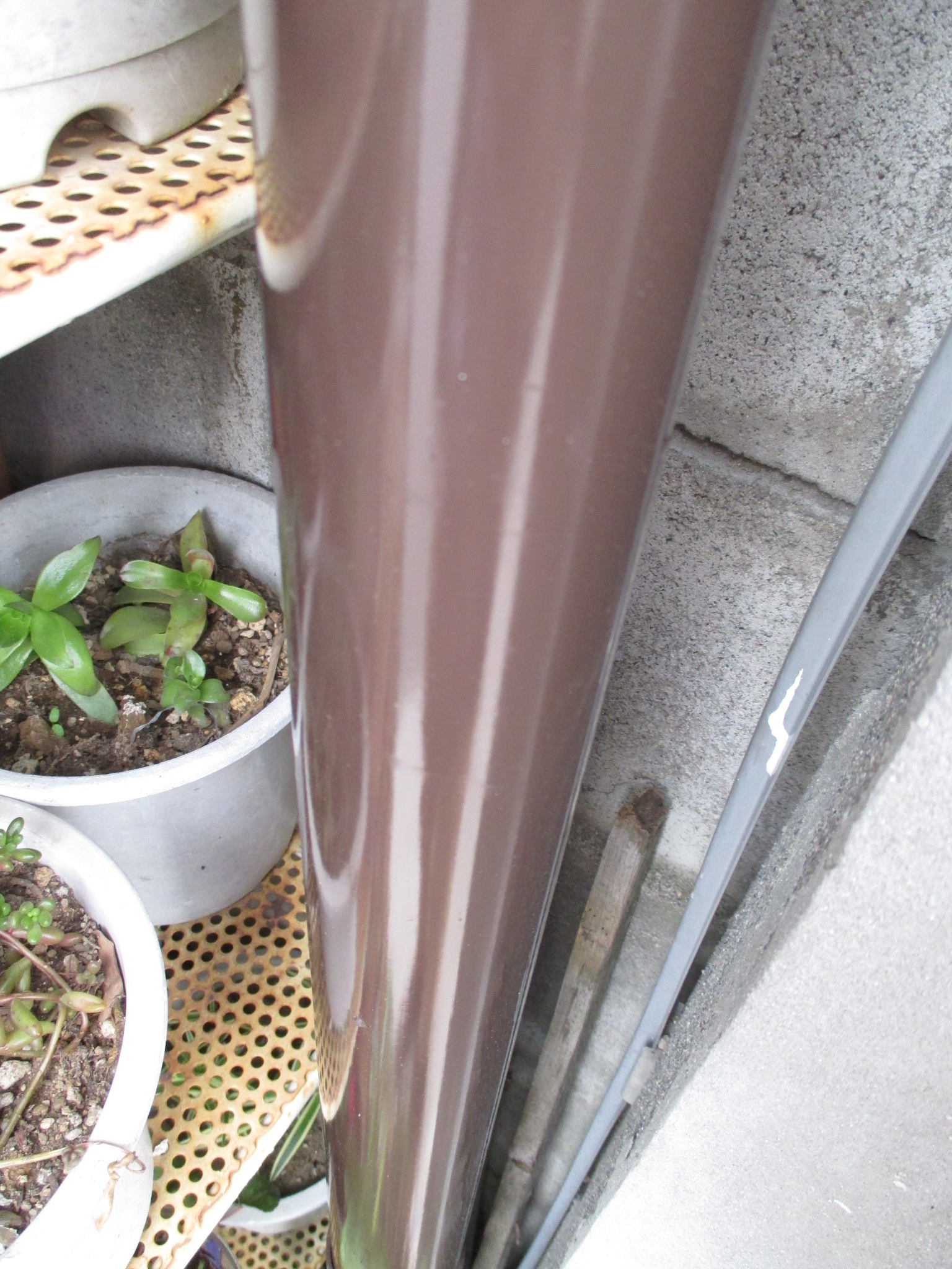 雨樋がピッカピカ!!外壁塗装の際には雨樋もセットでお願いします。