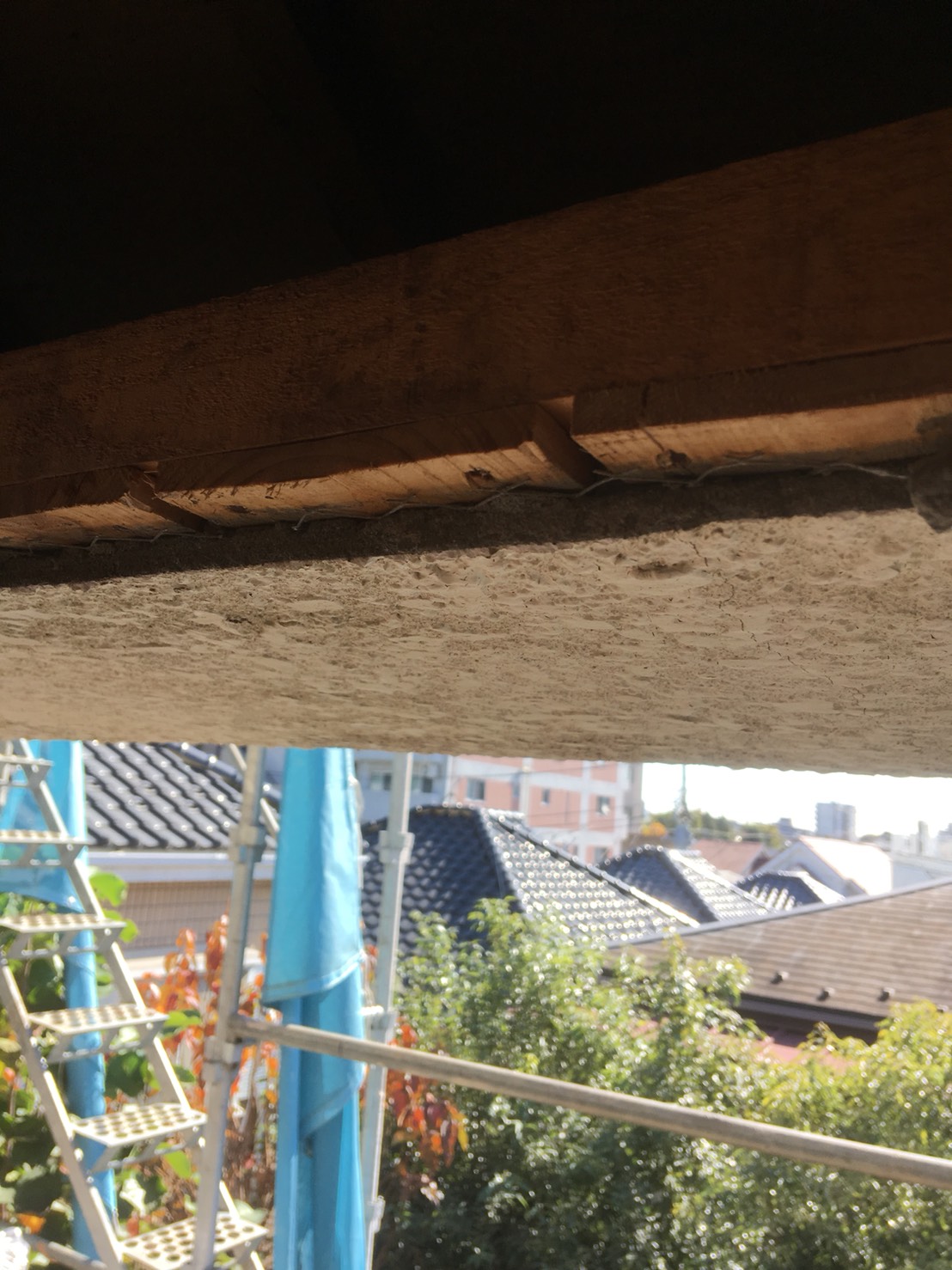 ﾓﾙﾀﾙの外壁って・・・？