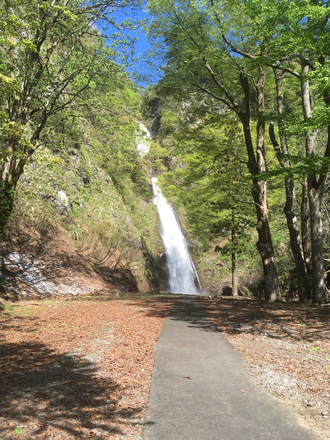 ゴールデンウィーク①