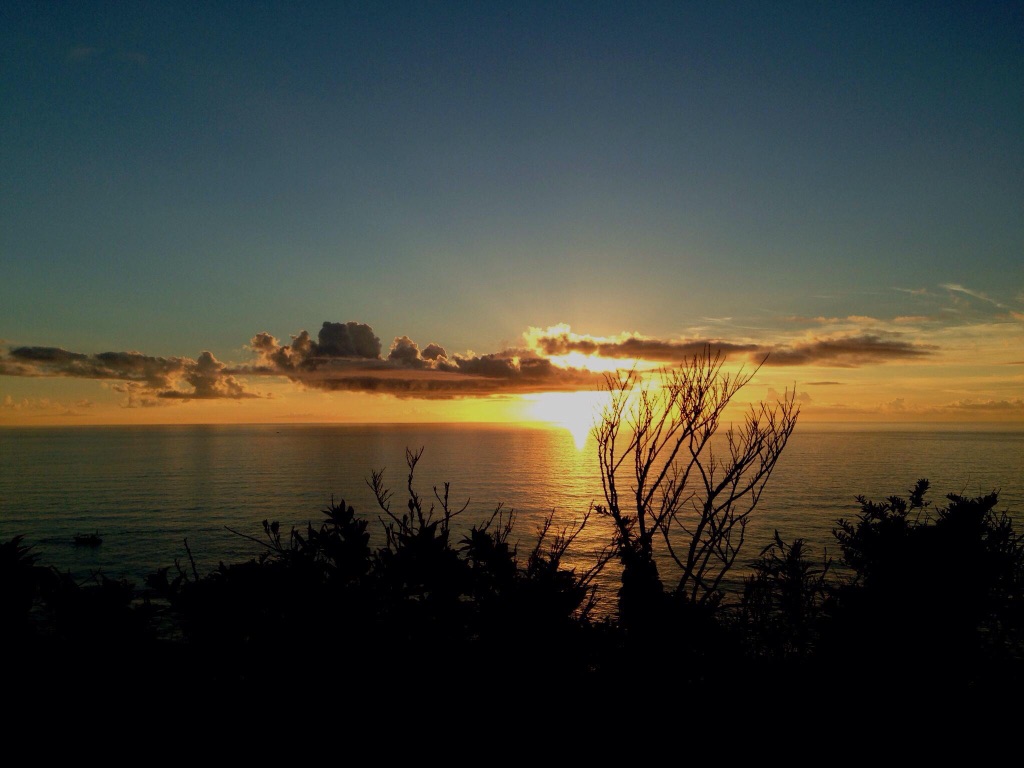1月12日（木）臨時休業のお知らせ