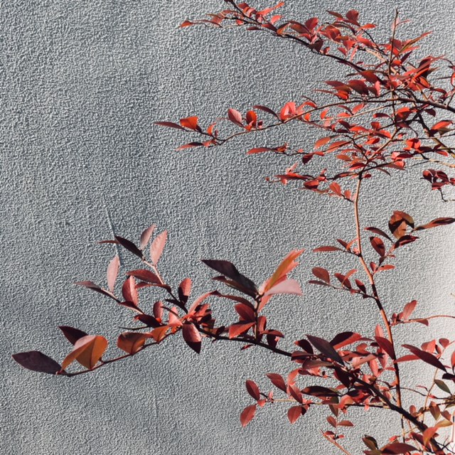 【LOHASTAhome】koshigaya