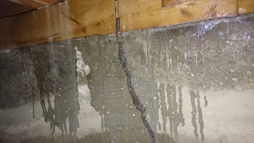 白蟻シーズンとなりますが、お家は大丈夫ですか？