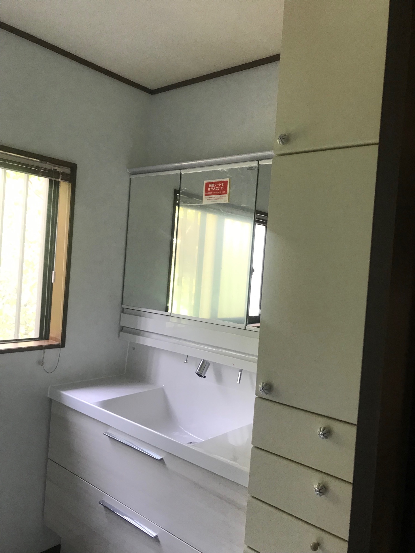 既存の収納棚と洗面台
