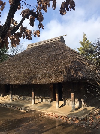 よこ散歩～小平ふるさと村～