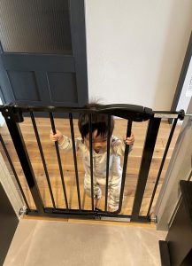 B213762F-9842-41A0-BD14-D601843E13E3