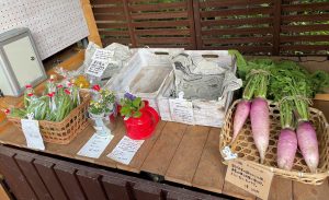 8B01D467-9E4B-4A5F-96B1-25B553532B28