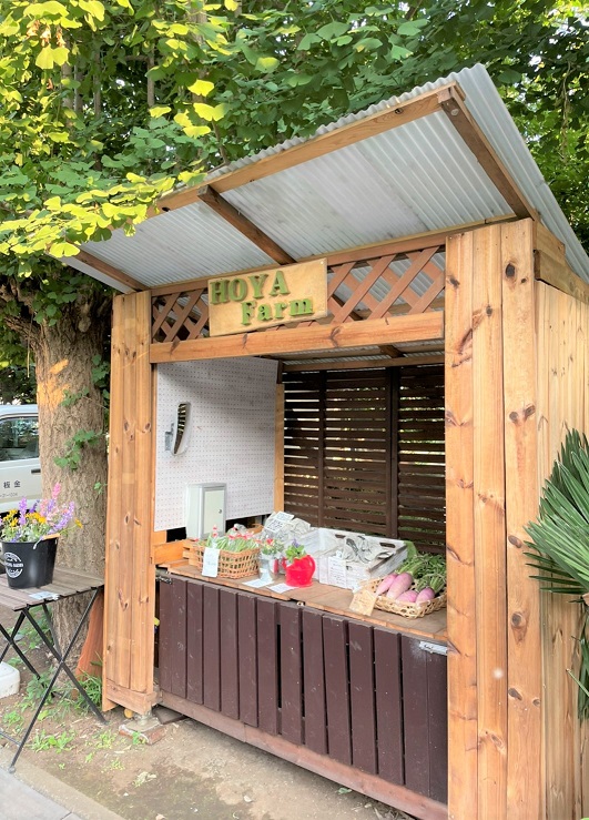 よこ散歩～近所のお気に入りスポット