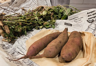 旬の味、頂きました！