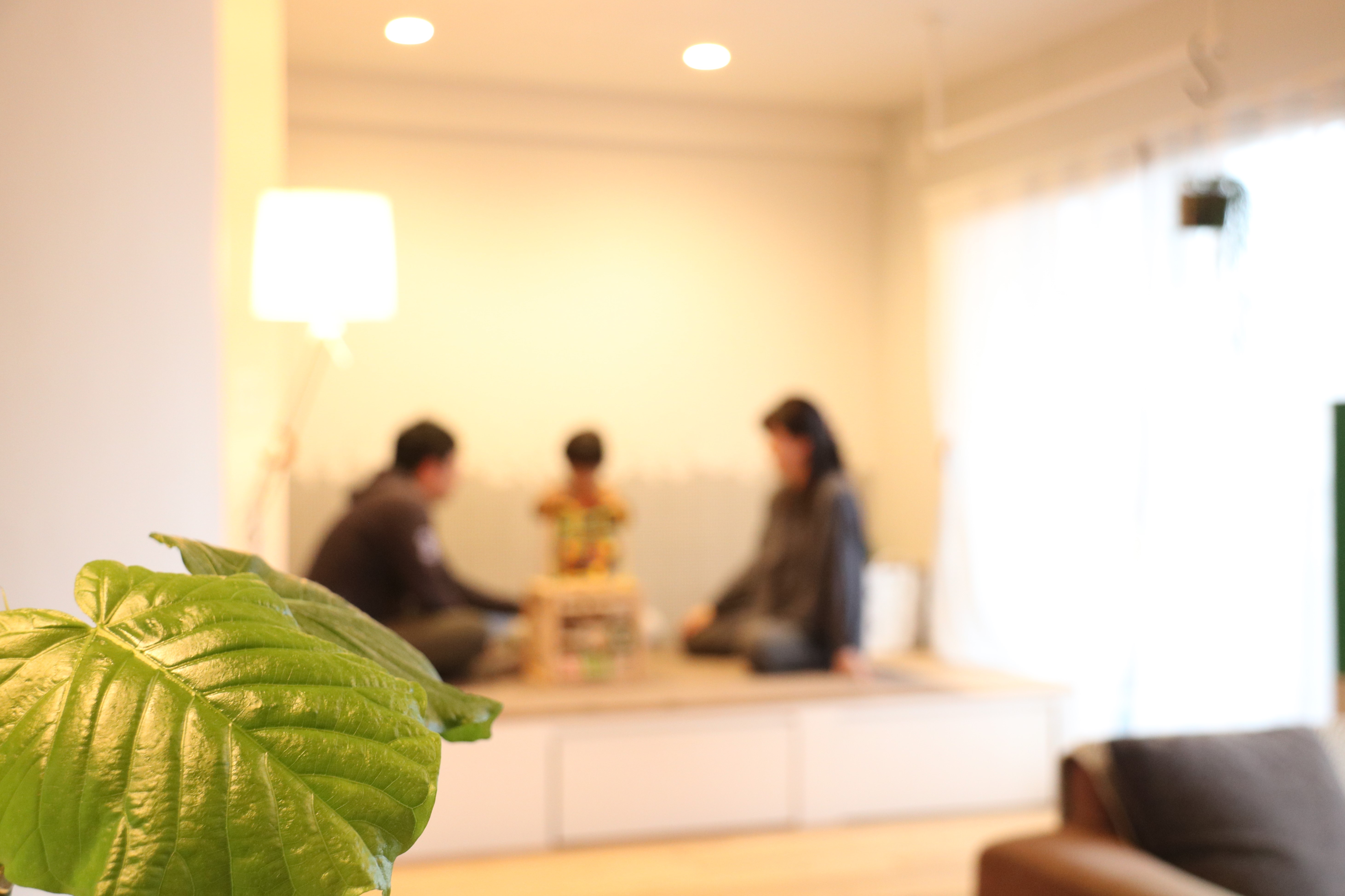 本日の新聞に掲載、「小上がり　収納の悩み解決」