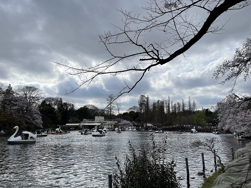 3/30の井の頭公園